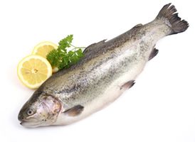 Le poisson à la loupe : entre bénéfices et risques pour la santé