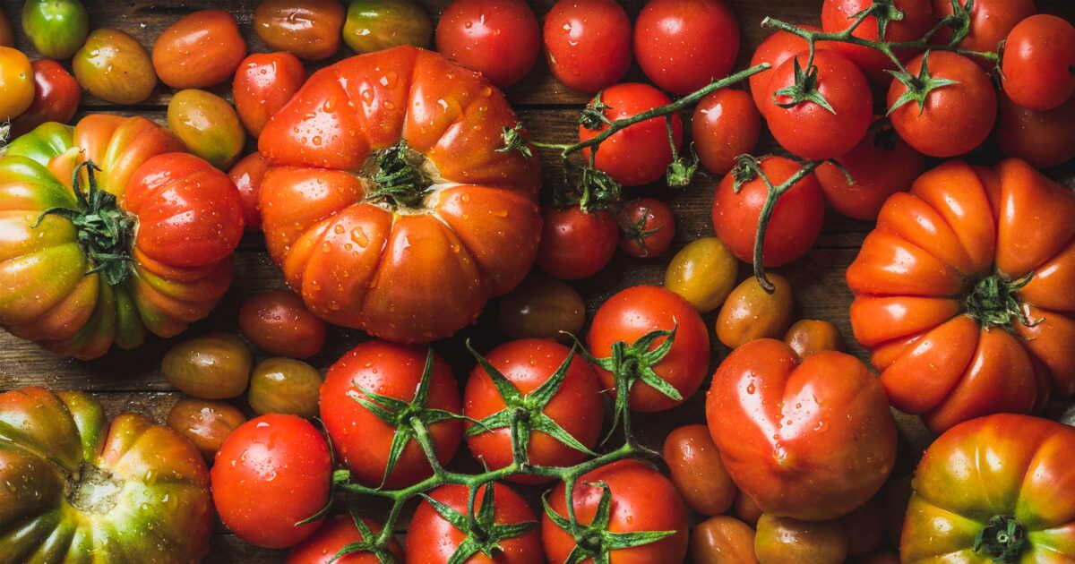 Cyril Lignac dévoile sa salade d'automne aux tomates et fruits frais
