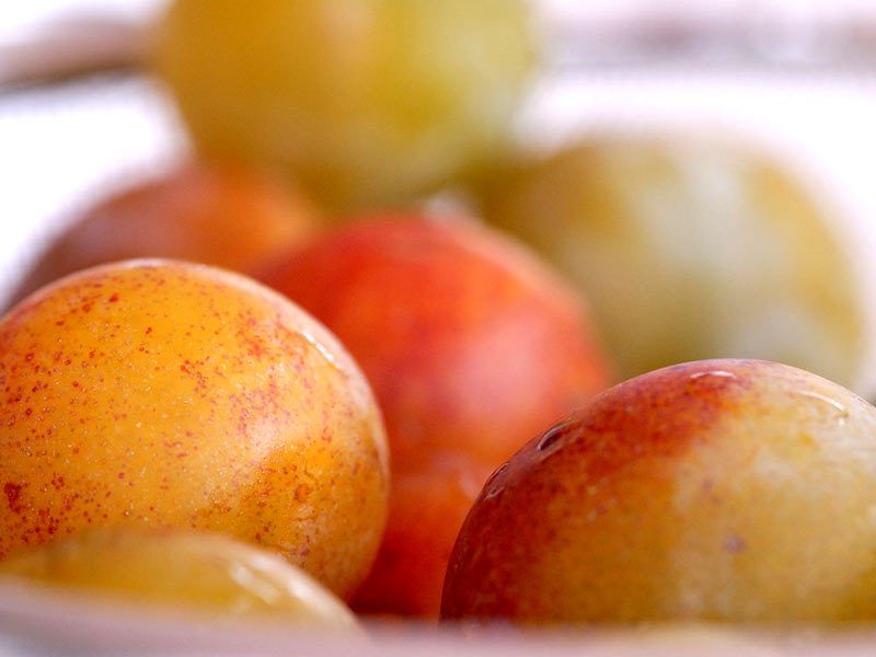 Découverte de la mirabelle : un allié savoureux pour une silhouette affinée