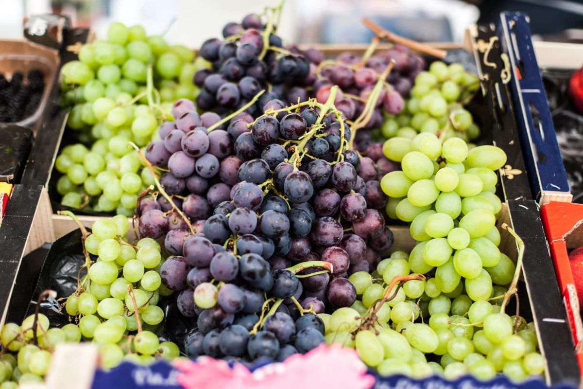 Un goût de bonbon et zéro pépin : le raisin qui séduit les enfants