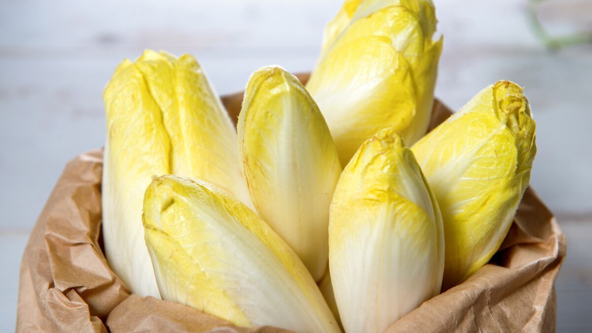 Les endives réinventées par Cyril Lignac : des recettes sans amertume