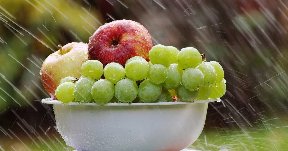 Des recettes créatives pour savourer le raisin