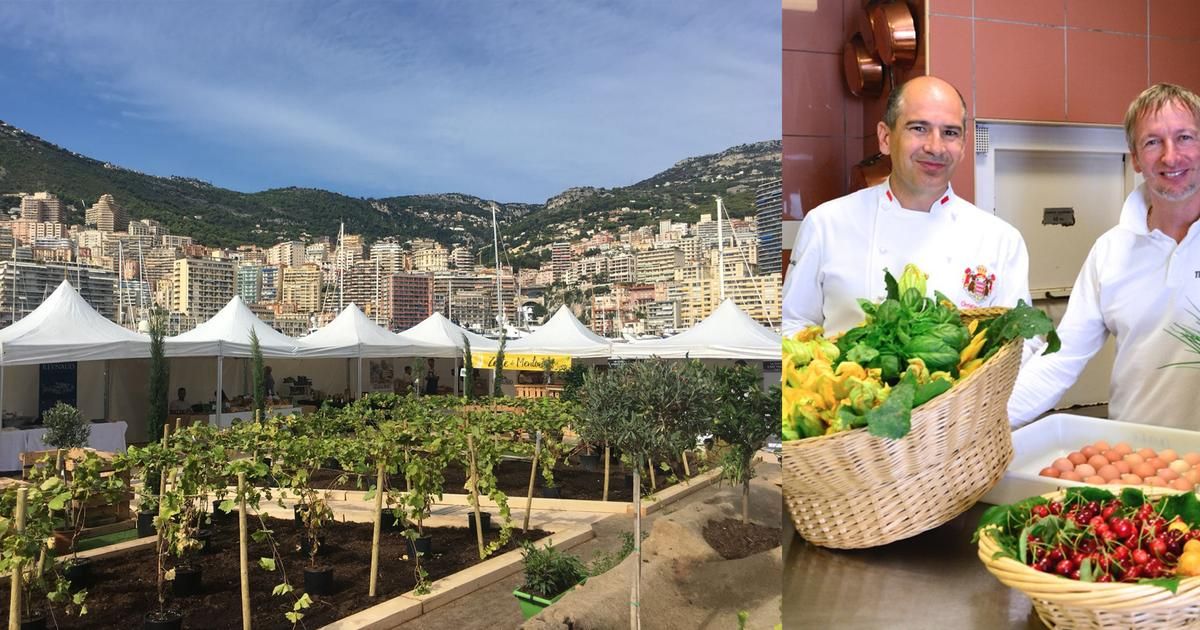 La magie gourmande de la Villa La Vigie et ses potagers flottants