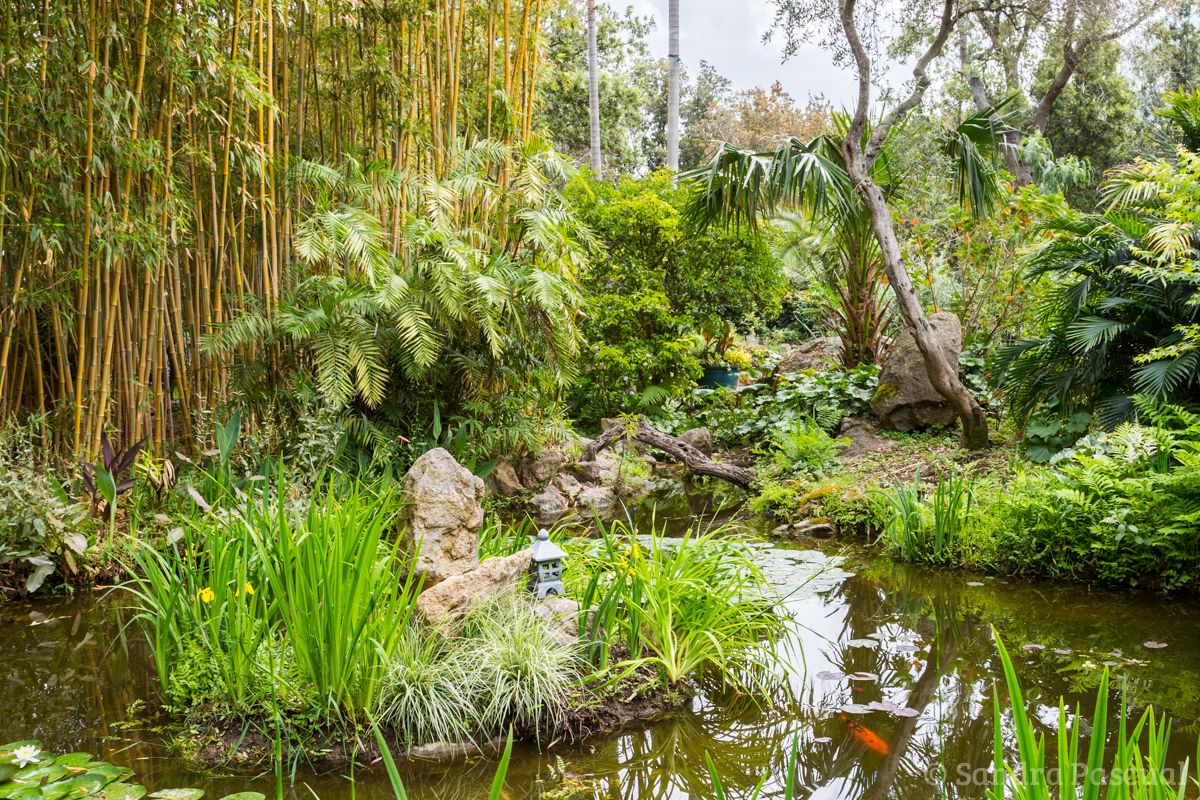 découverte au jardin de la mortella d'ischia