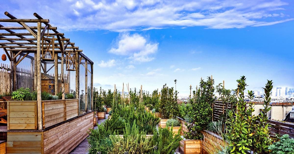Les chefs étoilés et leur amour pour le jardinage