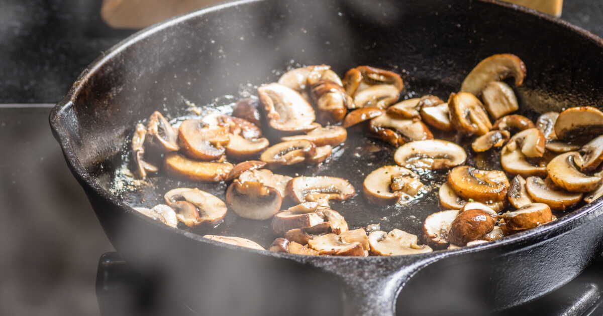 La magie des champignons : secrets de la récolte