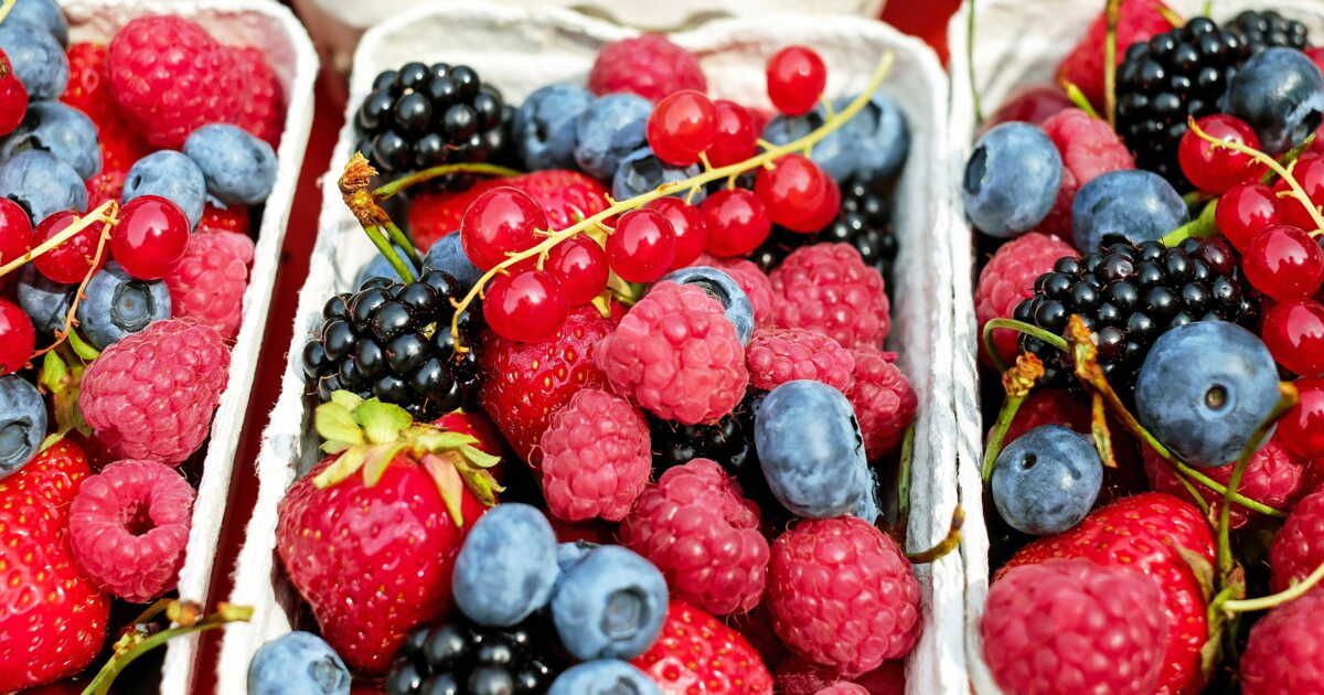 Les petites baies de l'été : un festival de saveurs à découvrir