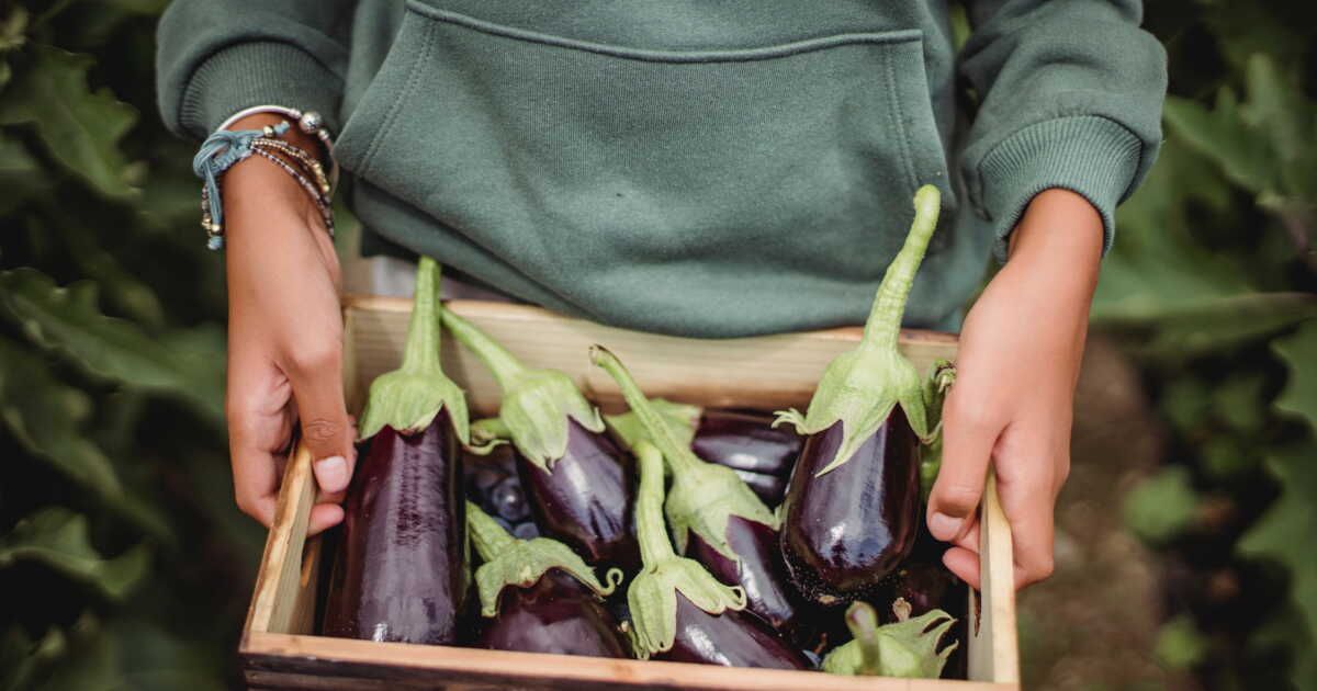 Aubergine : astuces infaillibles pour la préparer comme un chef