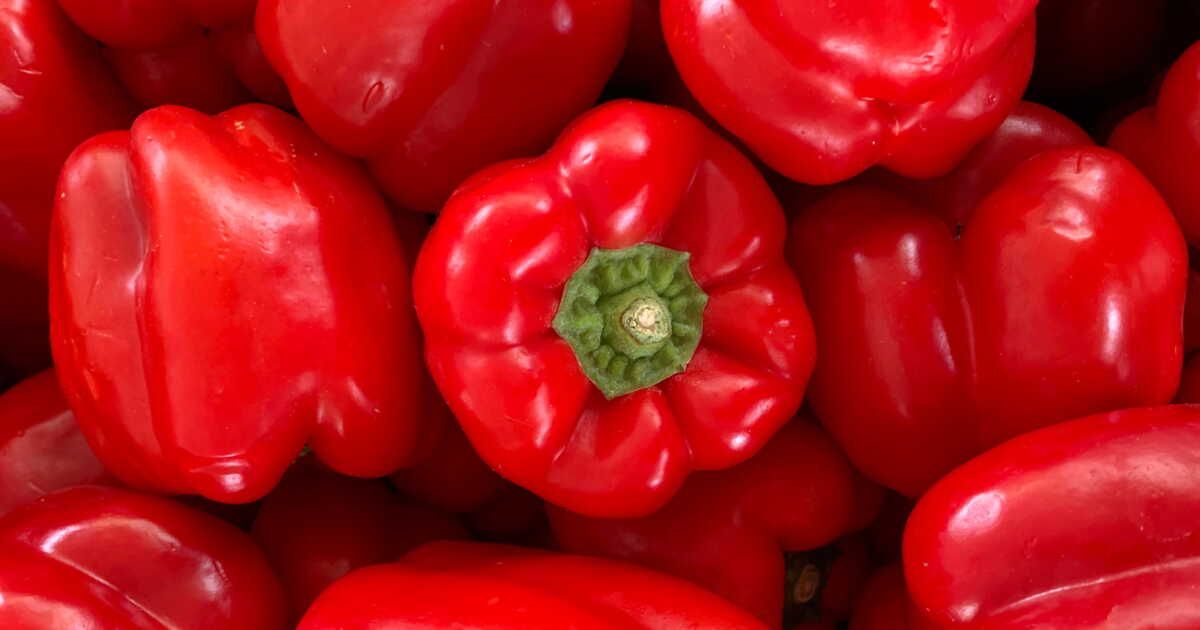 Comment préparer des poivrons savoureux et digestes : astuces et techniques de cuisson